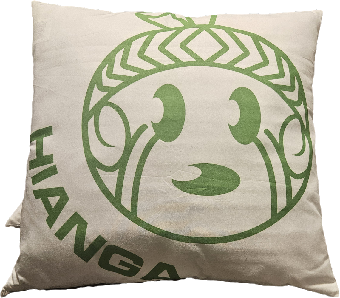 Cushion - Kākāriki